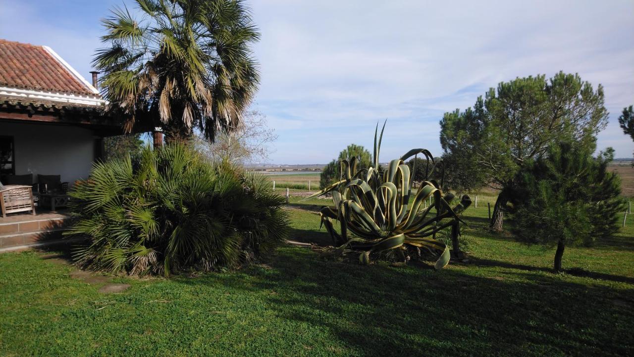 Lodge Monte Do Sobral Alcáçovas Екстериор снимка