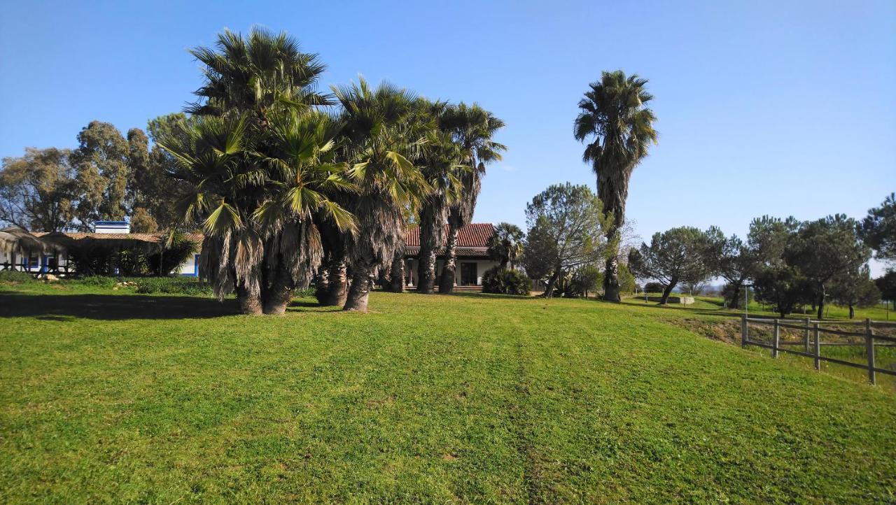 Lodge Monte Do Sobral Alcáçovas Екстериор снимка