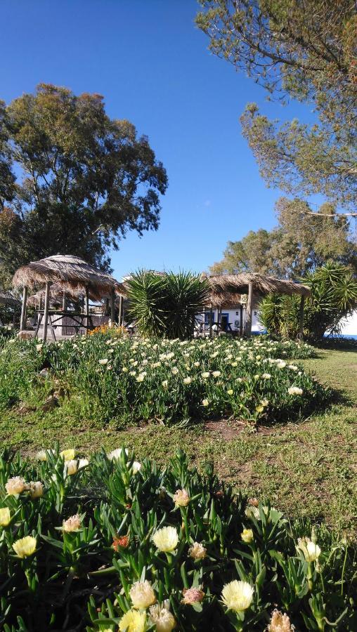 Lodge Monte Do Sobral Alcáçovas Екстериор снимка