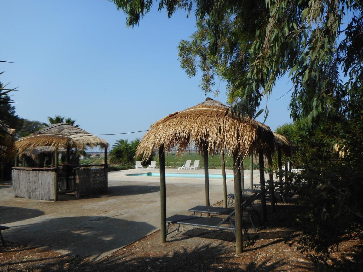 Lodge Monte Do Sobral Alcáçovas Екстериор снимка